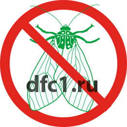Уничтожение моли в Воткинске