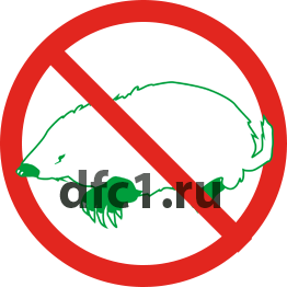 Уничтожение кортов в Воткинске