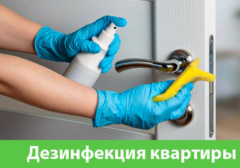 Дезинфекция квартиры в городе Воткинск