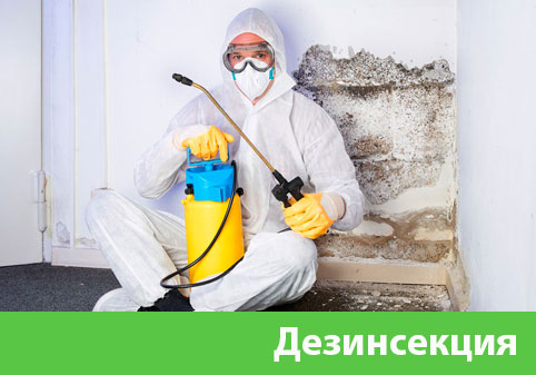 Дезинсекция в городе Воткинск