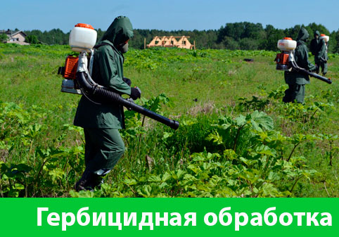 Гербицидная обработка в городе Воткинск