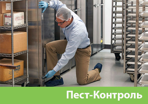 Пэст-Контроль в городе Воткинск