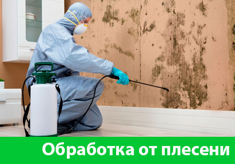 Обработка от плесени в городе Воткинск