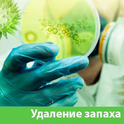 Удаление запахов в Воткинске