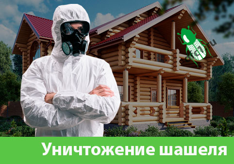Уничтожение шашеля и личинок в Воткинске