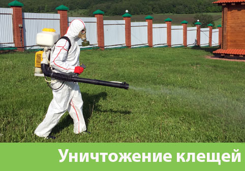 Уничтожение клещей в городе Воткинск