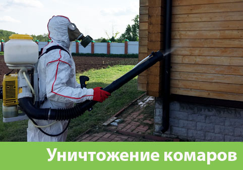 Уничтожение комаров в городе Воткинск
